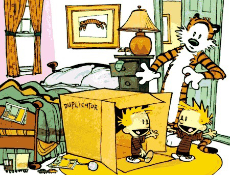 Vignetta Calvin e Hobbes